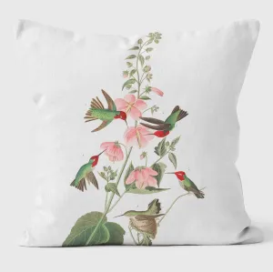 Columbian Humming - Birds Of America Cushions