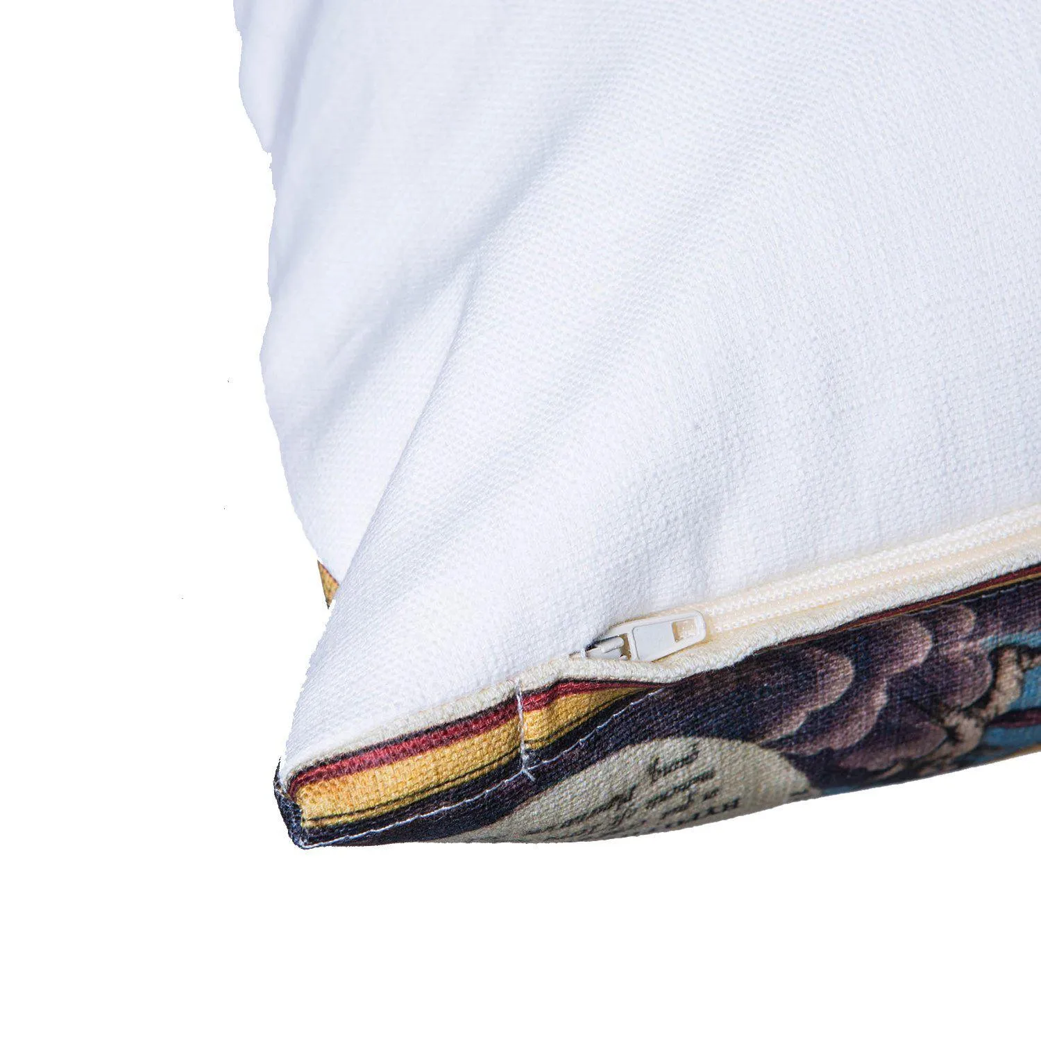 Columbian Humming - Birds Of America Cushions