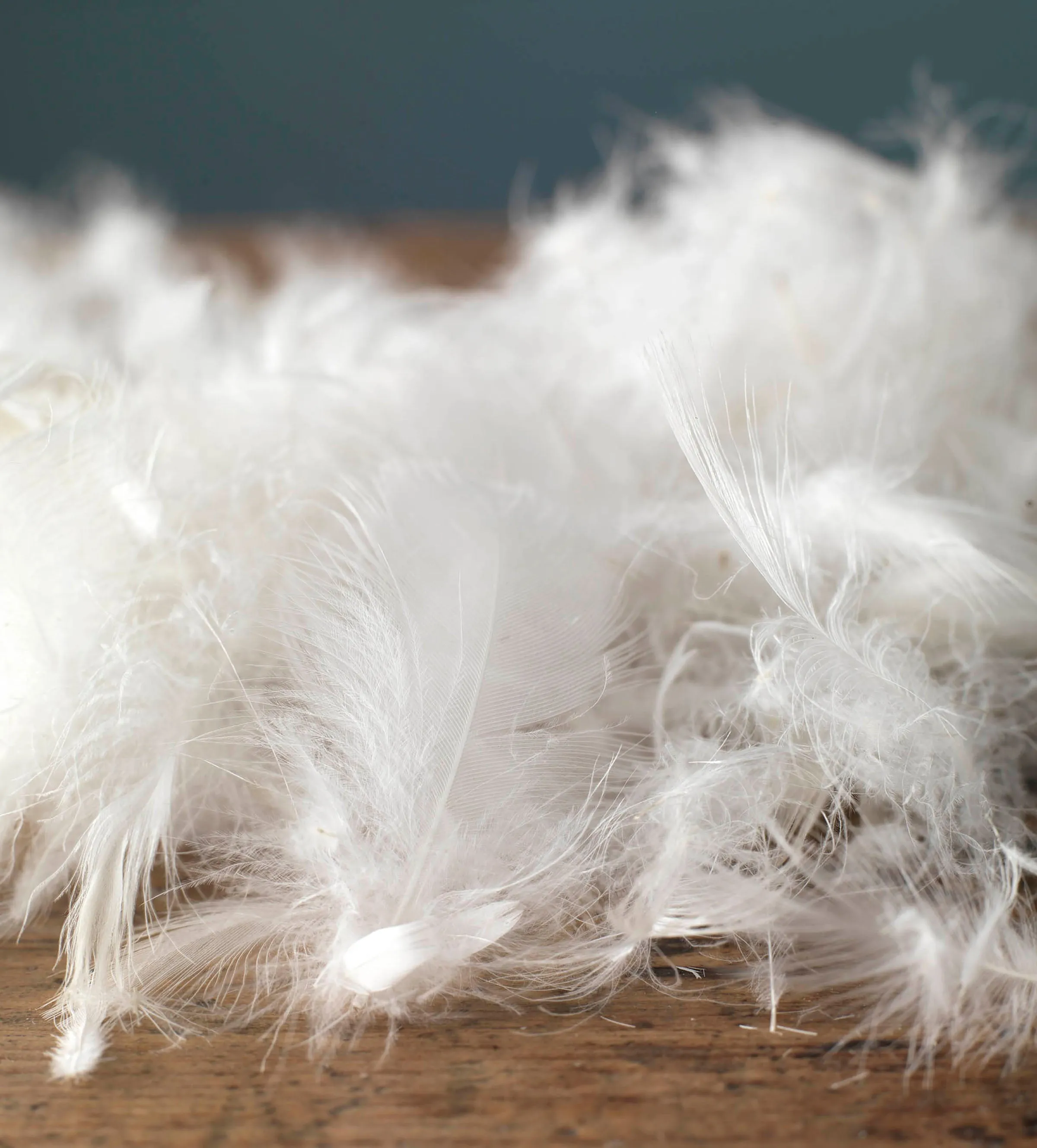 Great Goose Duvet - Hungarian Goose Feather & Down - Emperor