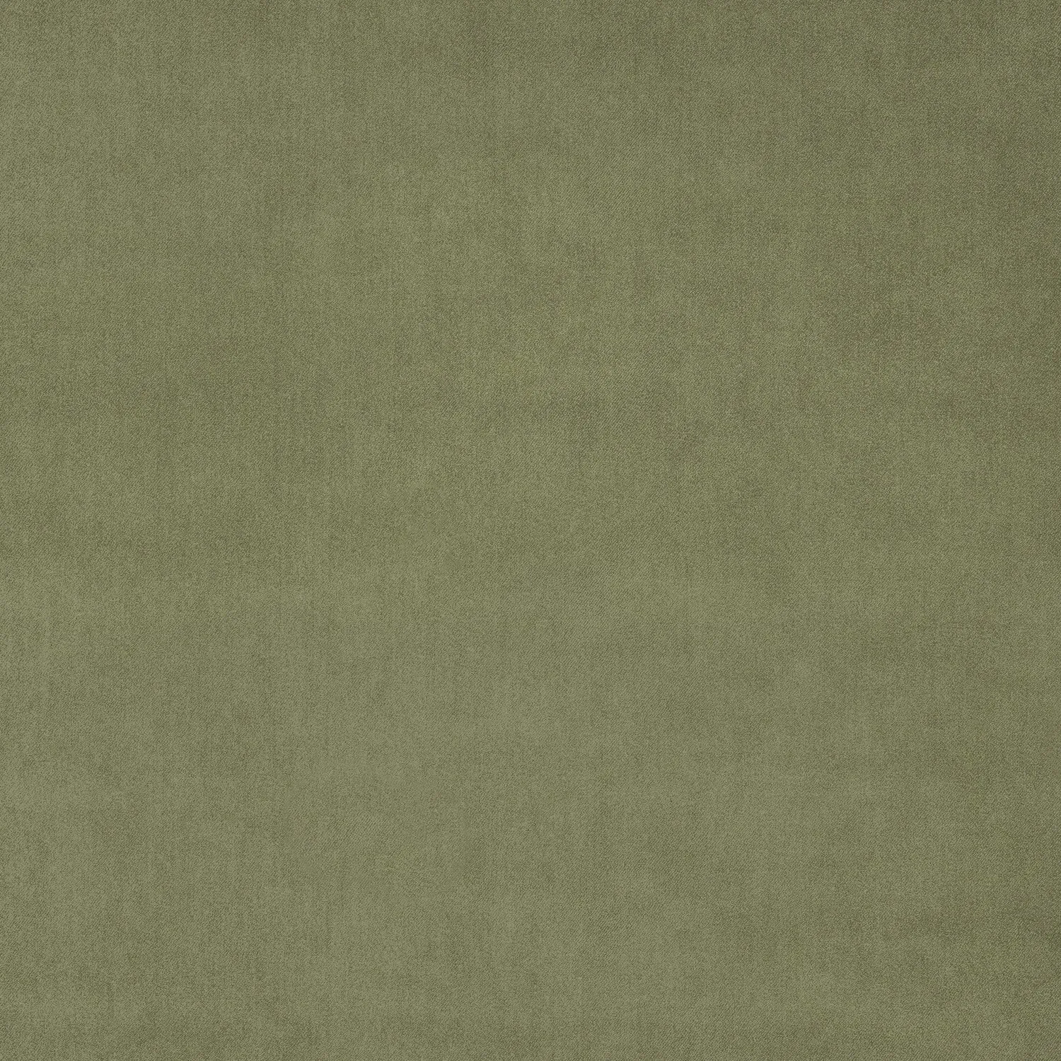 Omega Green Tea