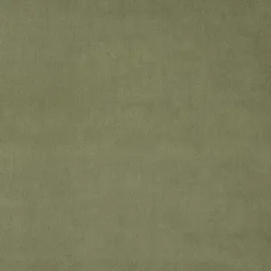 Omega Green Tea