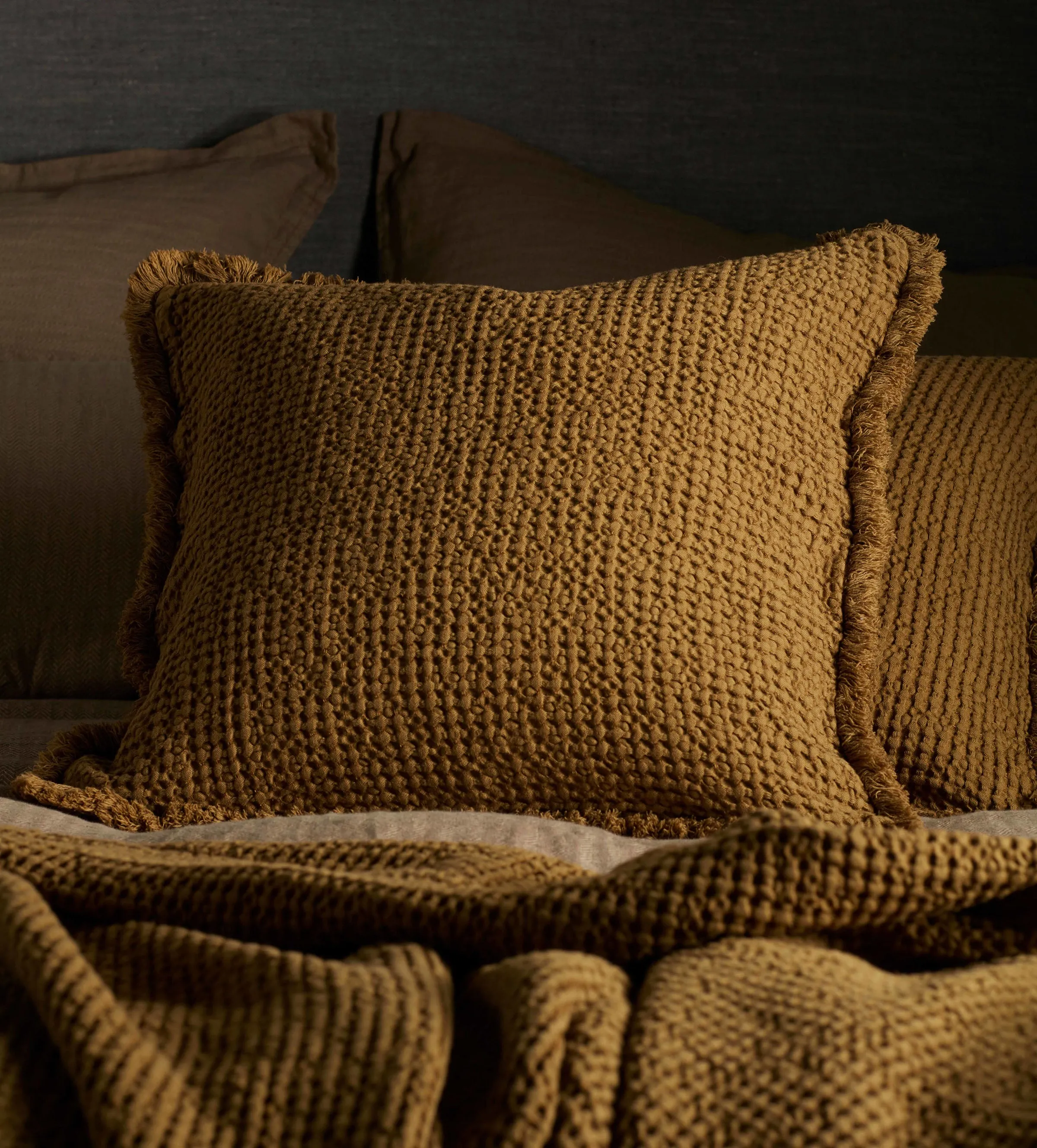 Tapenade Wolcott Cotton Linen Cushion Cover and Throw
